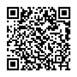 这让呼啸山脉中的这些原本只是依靠着挖掘草药二维码生成