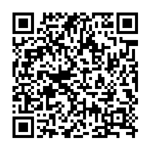 这让她想起了曾经一个人也这样坚定不动摇……将她锁入金丝笼子一百万年二维码生成