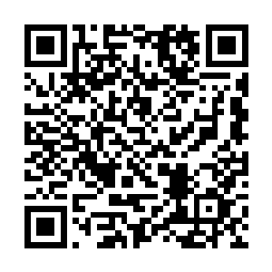 这让旁观的顾百贤李子仁翻译小玲霍恩斯以及金发女二维码生成