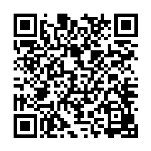 这让曹军常年威扬天下无人敢犯的傲气大受了打击二维码生成