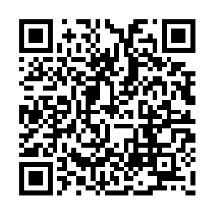 这让本就重视杨开的马格纳和弥天愈发神色凝肃二维码生成