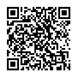 这让柳涵欣对这个未来的市场部经理更加的多了一份幻想二维码生成