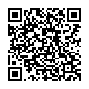 这让站在最前面的佩德罗和阿方索疑惑地抬起头看向了工作人员二维码生成