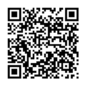 这让罗楼想起了先前被兰蒂炸掉的大片黑森林被修复的事情二维码生成
