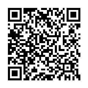 这让苏凡一度恶意揣测这家伙是不是喜欢娜丽丝二维码生成