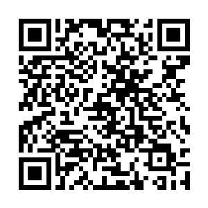 这让苏青黛愈发肯定了曾泰和这人绝对有亲缘关系二维码生成