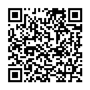 这让观众们都开始担心潮汐百谷第一层的地形结构了二维码生成