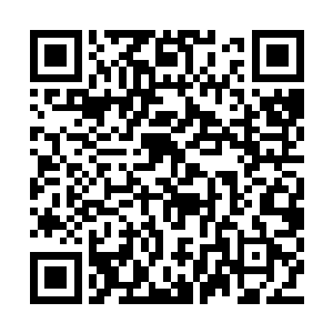这让那些留在仙界内仙人们都生出了不好的预感二维码生成