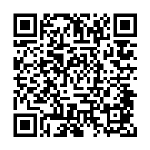 这让长阳府上下所有人都情不自禁的松了一口气二维码生成
