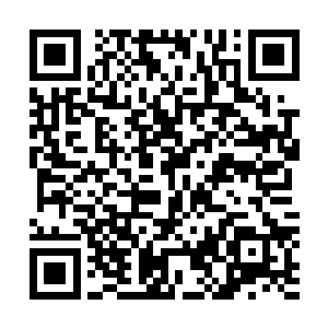 这让雨果深刻地感受到自己骨子里对演技的那种狂热和骚动二维码生成