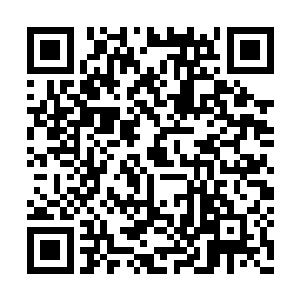 这让韩风更加好奇这血液朱雀到底有什么功效了二维码生成