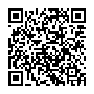 这许子远这些年来以为我只能依仗他在旁出谋划策二维码生成