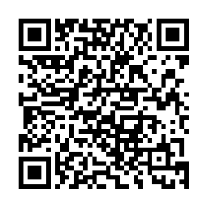 这证明两边都已经知道了望远桥方向上那令人震惊的战果二维码生成