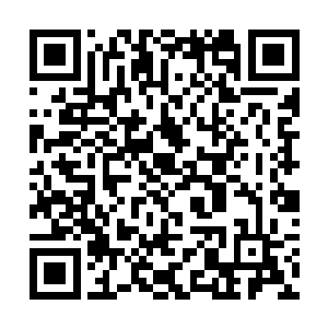 这话也就是骗骗花悠悠这种第一次和她们接触的人吧二维码生成