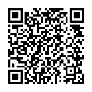这话如果让龙战听到的话不知道会不会找这个小家伙练练二维码生成