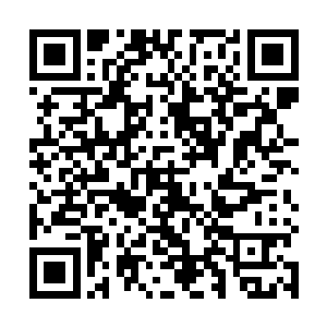这诡异的乳白色的虚影此时赫然正被这天碑碎片镇压着二维码生成