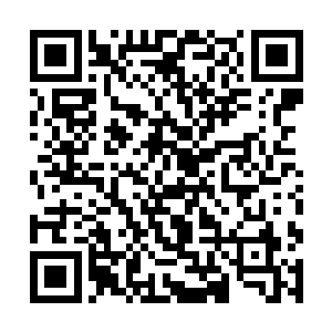 这该死的黑色飘浮物和这猛烈的劲风究竟是个什么鬼二维码生成