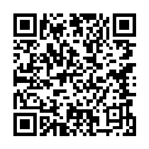 这说明万宗仁手中已经有足够证据能证明自己是受他委托二维码生成