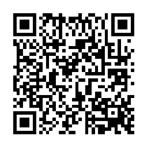 这说明保罗已经重新打通了获得黄金独角仙的货源渠道二维码生成