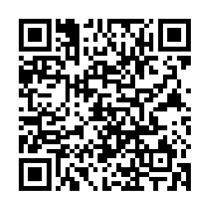 这说明小狐狸很有可能真的被装在了一个特殊的宝物内二维码生成