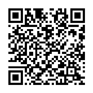 这说明我们县的老革命老千部对我们白勺工作还是充满期待嘛二维码生成