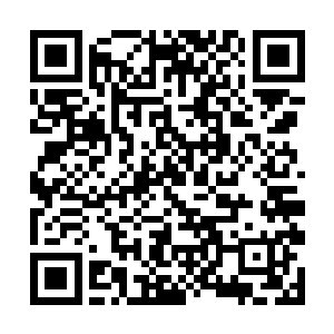 这说明许家在这四十年来一边防御着他们联盟的进攻二维码生成