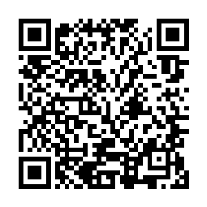 这说明这丹药从内心深处来说也是不愿意如此自我毁灭的二维码生成