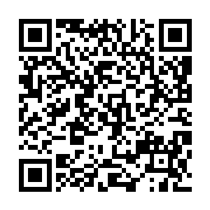 这说明这岛屿如此古怪是在那两位出现在这岛屿之前的事情二维码生成