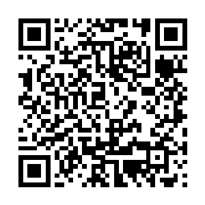 这请了宫里的嬷嬷倒也不是全为了咱们家的雪姐儿二维码生成