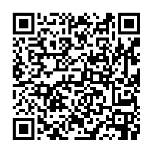 这货回到自己家里了……我都趴在你房顶上了……你丫的居然又飞出来了二维码生成