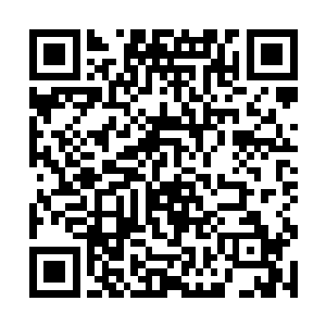 这货腕足上卷着几样黑沉沉的钢铁零件和半架f35机身二维码生成