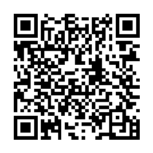 这贼人是从后院的荷花池里面的暗沟当中逃出来的二维码生成