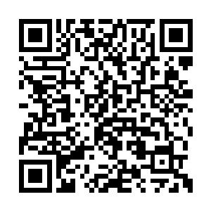 这赤炎虎的火丹还是当年在龙脊山试炼时候所得二维码生成