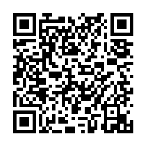 这赫兰王后的突来的一处显然出乎任琦宁意料之外二维码生成