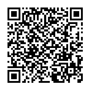 这超时空魔球也以比熊孩子当初第一次进入时间之河时快上十多倍的速度二维码生成