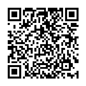 这趟差使又是张相爷摆明了做出来给别人看的一场戏二维码生成