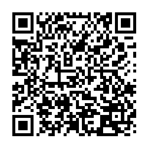 这足以说明他让王世子参加高考进入大学的决策是无比正确跟英明的……二维码生成
