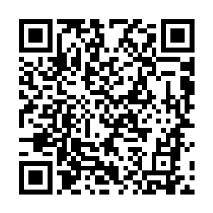 这跃起一半的身子赫然就是在火龙洞里出现的那个蛟龙二维码生成