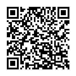 这跟之前那傻乎乎无辜茫然的样子是截然不同的二维码生成