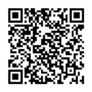 这跟自己在等待任务时的混沌空间里的能量有些相似二维码生成