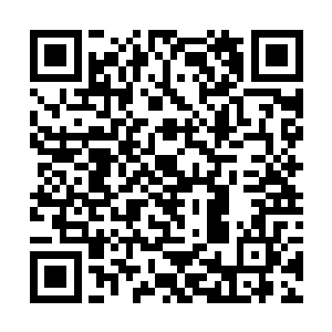 这身拥有灵魂的战甲是我舍弃了不少力量换取的王牌二维码生成