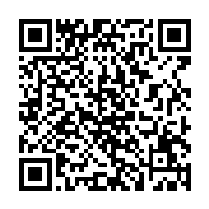 这辆价值不知道多少个亿的迈巴赫缓慢的驶离了机场二维码生成