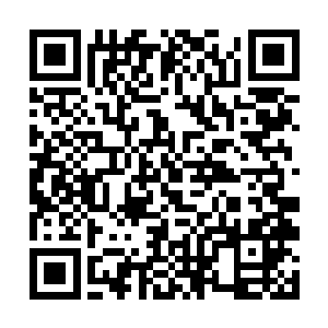 这辆时速不过四十公里的卡车在它们眼中就等于龟爬二维码生成