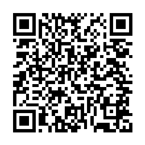 这辆车对于卫兵来说自然是熟悉的不能再熟悉的二维码生成