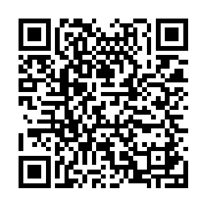 这辈子他也许还是无法找到也无法理解所谓的爱情二维码生成