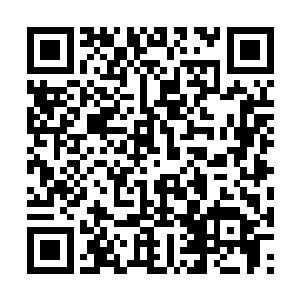 这辈子可能就今天这次机会能够亲眼看到教宗陛下二维码生成