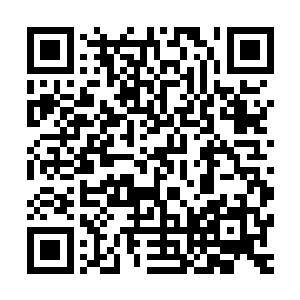 这边也知道这家的漂亮老板娘马上要被酉丁域都统大人收房了二维码生成