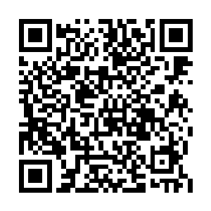 这边明明就被陈景皓用符咒烧出了一条小路来的二维码生成