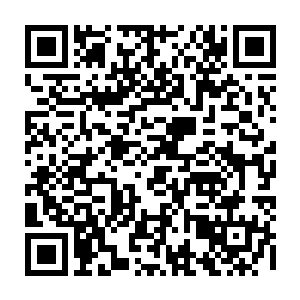 这边的动静成功将已经坐在贵宾车厢里的薛明珠等人的注意力吸引了过来二维码生成