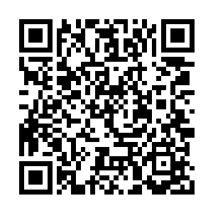 这边的消息便传递给了每一位还幸存的琅琊开天二维码生成